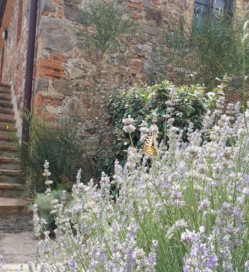 Casetta Tre Poderi Appartamento Cactus Monte Cucco Buitenkant foto