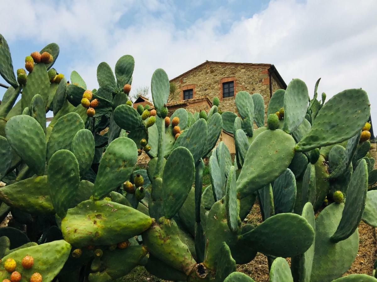 Casetta Tre Poderi Appartamento Cactus Monte Cucco Buitenkant foto